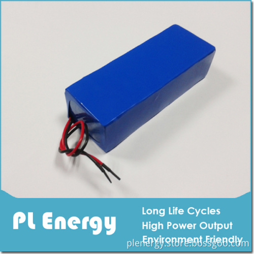 48V 10ah LiFePO4 Battery Pack for Electric Bike